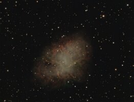 M1-Color_2024-01-04_aw