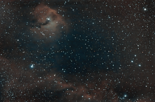 IC2177 Seagull Nebula