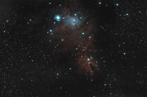 NGC2264 Christmas Tree Cluster adj